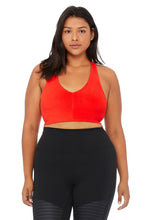 Load image into Gallery viewer, Base Bra
