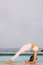 Load image into Gallery viewer, Halo Bra Tank - Pink Mauve