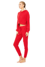 Load image into Gallery viewer, Muse Sweatpant &amp; Hoodie Set
