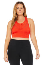 Load image into Gallery viewer, Lark Crop Top
